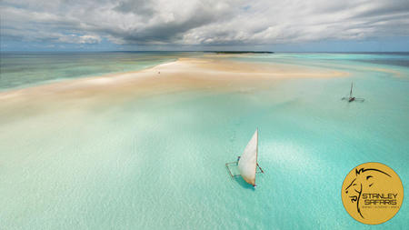 Three Sunny Safari Destinations for Combatting Winter Blues