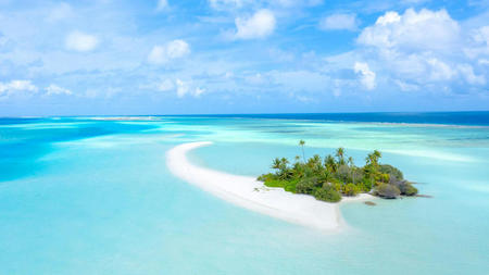 Scuba Diving in the Maldives: Discover a Hidden World Beneath the Waves