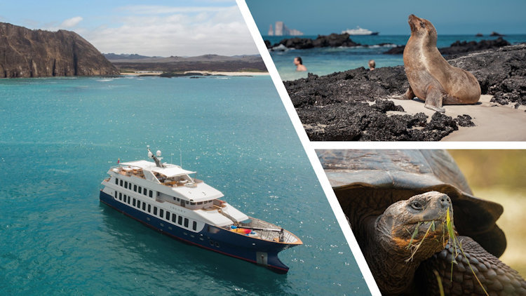 Ecoventura Offers New 2025 Themed Departures on Mega-Yacht Expedition Fleet