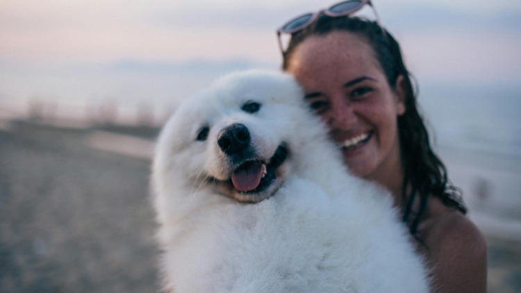 How Emotional Support Animals Enhance Wellness During Travel