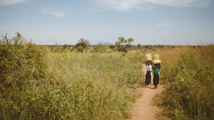 Top Places for Game Safaris in Uganda