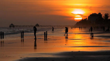 Exploring the Paradise of Anna Maria Island: How to Spend Your Days