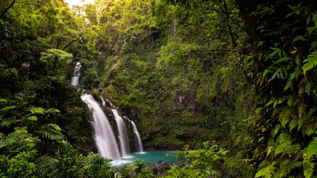 Whispering Winds and Scenic Views: Maui's Romantic Hiking Spots