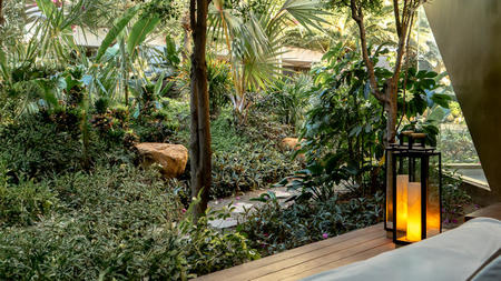 A New Kind of Couple’s Spa Experience in Los Cabos – Rituals, Rejuvenation & Romance