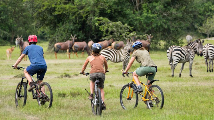 bicycle safari